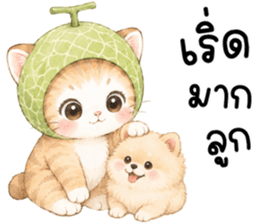 ฟรุตตี้ แมวน้อยแสนซน รูปที่ 12