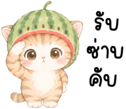ฟรุตตี้ แมวน้อยแสนซน รูปที่ 14