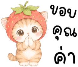 ฟรุตตี้ แมวน้อยแสนซน รูปที่ 15