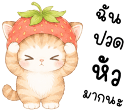 ฟรุตตี้ แมวน้อยแสนซน รูปที่ 17