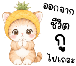 ฟรุตตี้ แมวน้อยแสนซน รูปที่ 20