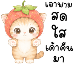 ฟรุตตี้ แมวน้อยแสนซน รูปที่ 22