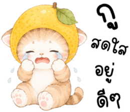 ฟรุตตี้ แมวน้อยแสนซน รูปที่ 29