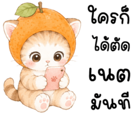 ฟรุตตี้ แมวน้อยแสนซน รูปที่ 33