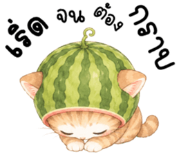 ฟรุตตี้ แมวน้อยแสนซน รูปที่ 36