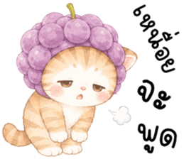 ฟรุตตี้ แมวน้อยแสนซน รูปที่ 37