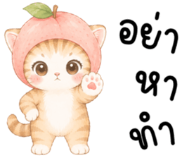 ฟรุตตี้ แมวน้อยแสนซน รูปที่ 38