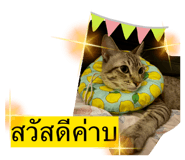872954729