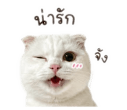 872993690