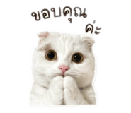 872993693