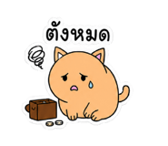 872996491