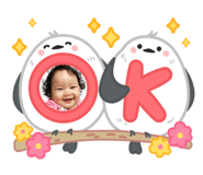 873009114