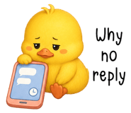 873012593