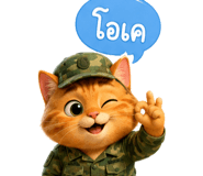 873020323