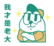 873025020