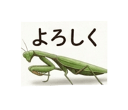 873037259