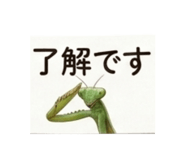 873037260