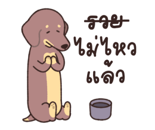 โคโค่กับแก๊งไส้กรอก: ใช้ได้ทุกวัน 4