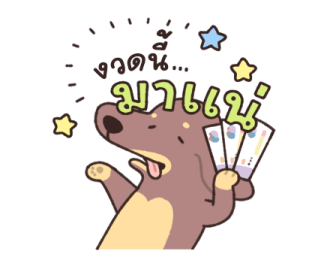 โคโค่กับแก๊งไส้กรอก: ใช้ได้ทุกวัน 17