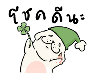 หมาจ๋า 2569 2