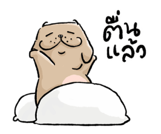 หมาจ๋า 2569 3