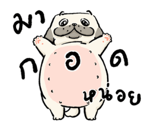 หมาจ๋า 2569 4