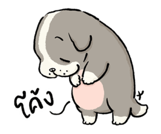 หมาจ๋า 2569 6