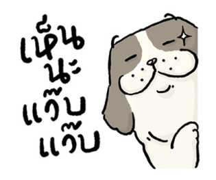 หมาจ๋า 2569 7