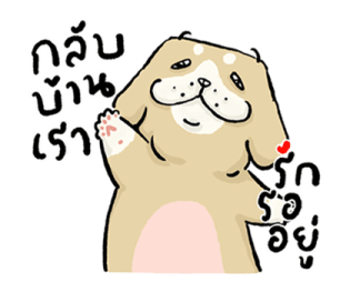 หมาจ๋า 2569 9