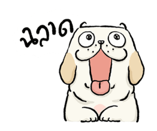 หมาจ๋า 2569 10