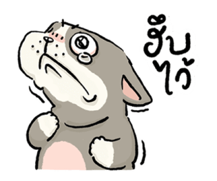 หมาจ๋า 2569 11