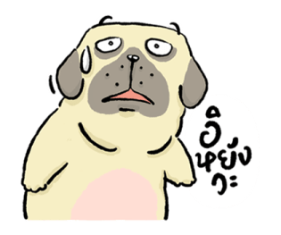 หมาจ๋า 2569 12