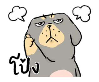 หมาจ๋า 2569 13