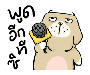 หมาจ๋า 2569 16