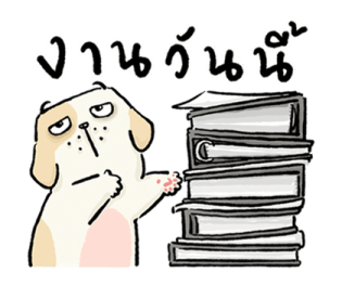 หมาจ๋า 2569 19