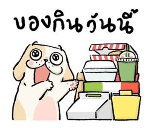 หมาจ๋า 2569 20