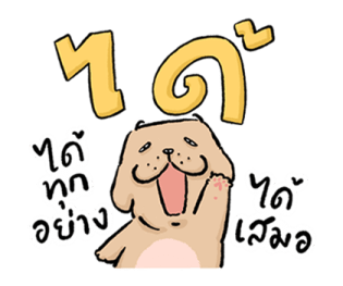 หมาจ๋า 2569 26