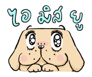 หมาจ๋า 2569 29