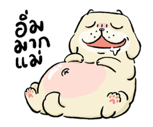 หมาจ๋า 2569 30