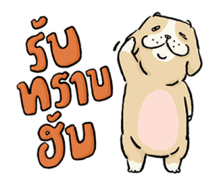 หมาจ๋า 2569 39