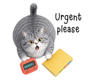 873077941