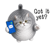 873077943