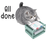 873077948