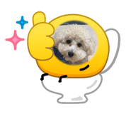 873079924