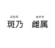 873086876