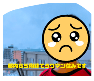 873124177