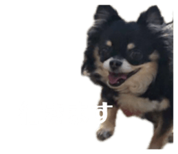 873148679