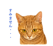 873165547