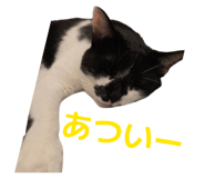 873168051