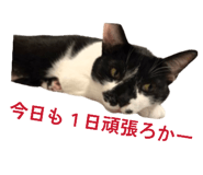 873168056